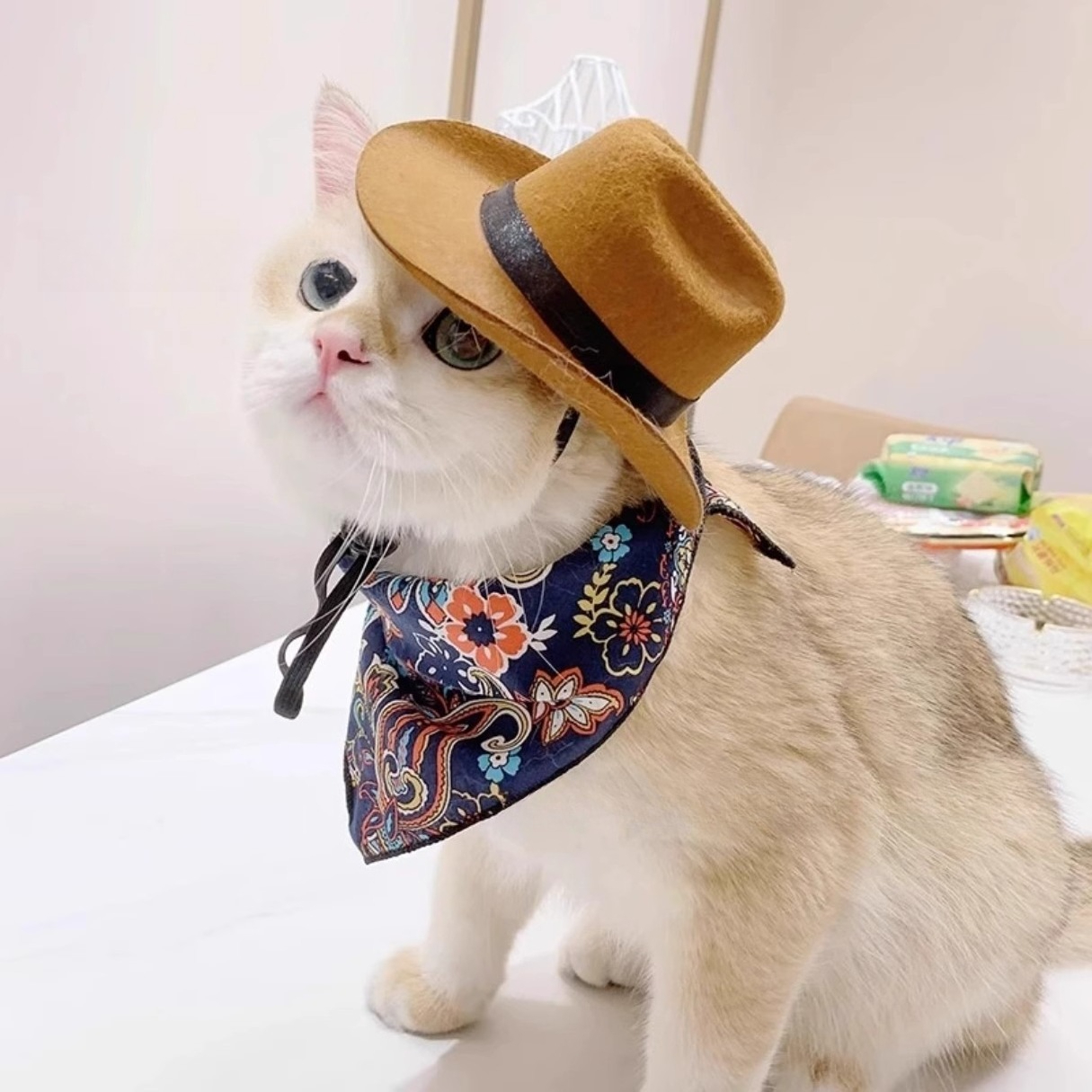  Cat Cowboy Hat Pet Head Acce – обзор и цена Cowboy Hat Straw